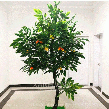 Cây xoài giả _Thiết kế theo yêu cầu 